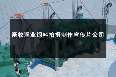 賦能現(xiàn)代畜牧漁業(yè) 專(zhuān)業(yè)飼料拍攝與宣傳片制作公司的重要性