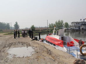 固鎮(zhèn)縣畜牧獸醫(yī)水產(chǎn)局開(kāi)展?jié)O業(yè)資源增殖人工放流活動(dòng) 促進(jìn)生態(tài)漁業(yè)發(fā)展